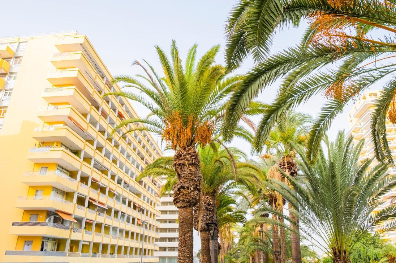 Live Puerto De La Cruz Las Palmeras Экстерьер фото