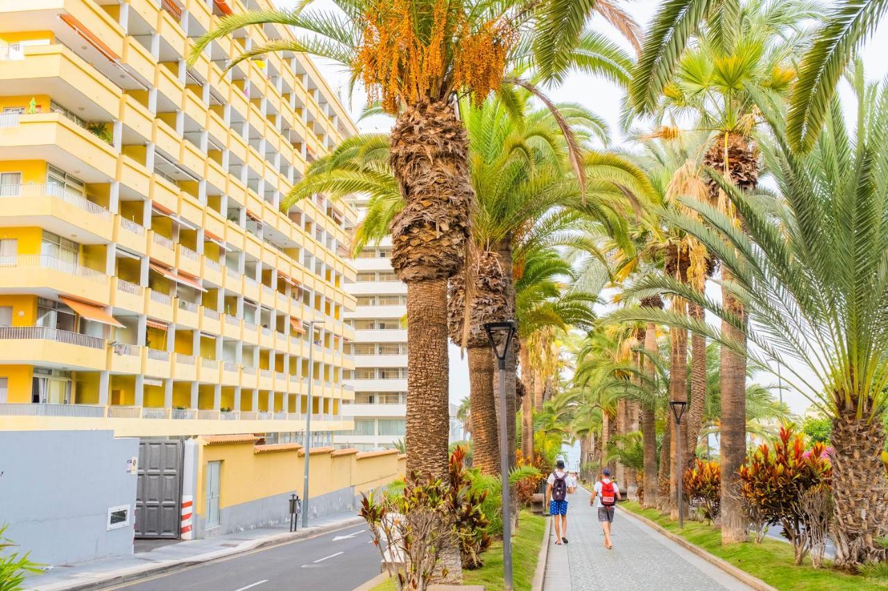 Live Puerto De La Cruz Las Palmeras Экстерьер фото